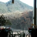 연일농장 이미지