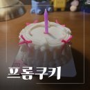 대전강아지케이크당일 가능한 프롬쿠키 귀여운 수제케이크 선물 후기