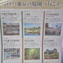 12월8(월)~12~13[송년] 도쿄&amp;에도의 정원+도쿄 시티 문화투어[기본싱글룸/항공자유] 이미지