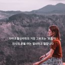 숨을 통해, 깨어나는 내 안의 우주: 그로프의 홀로트로픽 브레쓰워크 이미지