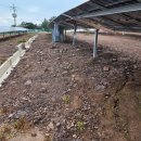 영양태양광발전소 이미지