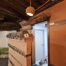 멍멍이와 숲속에서 이미지