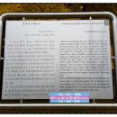 은행나무공인중개사사무소 이미지