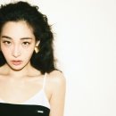 가고파 마이데일리