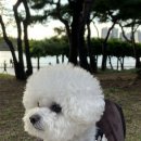 어쭈구리