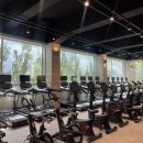 마블짐휘트니스 이미지