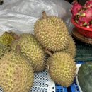 팔음농장 이미지