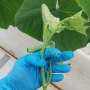 옥신농장 이미지