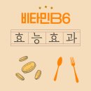 나노웰건강 | 비타민B6 효능, 부작용 직접 겪은 사용 후기