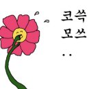 마왕족발 이미지