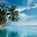 오늘도165 이미지