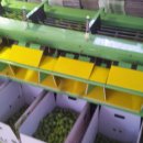 평촌농장 이미지