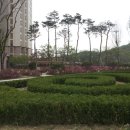 에코조경디자인