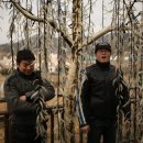 세종스파텔 이미지