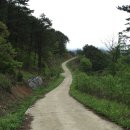 한옥달팽이민박 | 6시내고향 남원 민박 어디? 지리산 매동마을 ‘엄나무집’ 예약 꿀팁부터 실제 후기까지 한눈에 정리