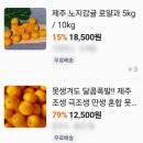 안정농장 | 제주 귤 택배 현재농장 타이백 현타귤 주문 후기