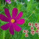 하모니임대 이미지