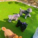 어떤하루펜션 이미지