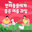 아이펫 동물병원 이미지