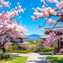 팔공산농산 | 팔공산의 영령이 깃든 천년 고찰, 대구 파계사(把溪寺)