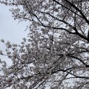 홍성천길 네이버블로그