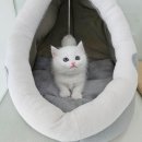 동두천-045 네이버블로그