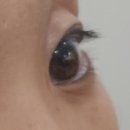 하니뷰 블랙카라 블랙 속눈썹영양제 솔직 후기! 마스카라 + 영양을 한번에