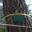 리버힐즈 캠핑장(푸른농원) 이미지