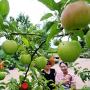 서울숲7 이미지