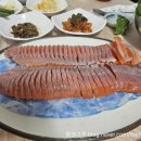 송정송어장 이미지