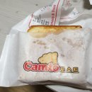 캠토토스트울산