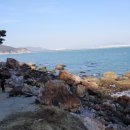 동선새바지 이미지