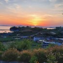 오차드 123 이미지