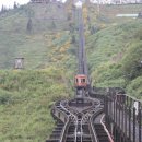 동화카프라자 이미지