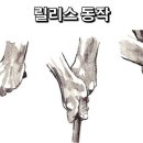 올바른 릴리스 2가지 key 포인트 이미지