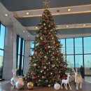 워킹온더클라우드(WALKINGONTHECLOUD) | 63빌딩 &#39;워킹온더클라우드&#39; 런치 샐러드바 이용후기 기념일 맛집