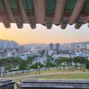 뽑리단길 네이버블로그
