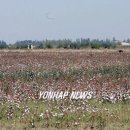 우치농장 이미지