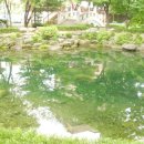 황지연못 이미지