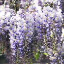 명암목장 이미지