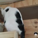 룩호텔 이미지