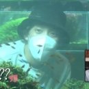 골든아쿠아펫 이미지