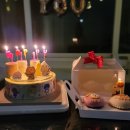 202펫푸드 이미지