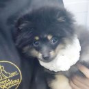 소답동237 이미지