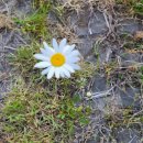 당나루물꽃승마마을 이미지