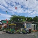 천등농장 이미지