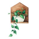 큐브스타 풀빌라 이미지