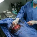 플립필라테스 이미지