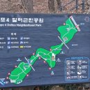 개포근린공원 Daum카페