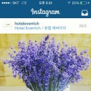 에버리치 트레이드 이미지